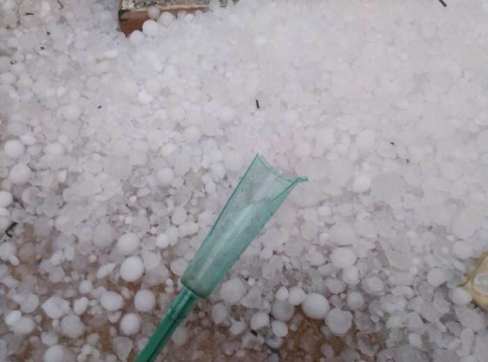 Cotxes abonyegats, vidres esquerdats i pluviometres  trencats 😿
Resultat de la #tempesta d'aquesta tarda a #Besalú 
Més imatges de Jordi-Besalu a pico.cat/forum
#meteo #estiu2018