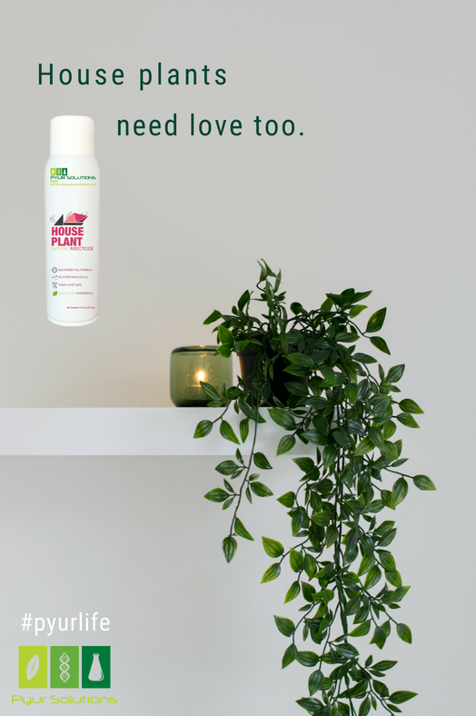 PyurSolutions's tweet photo. Show your plants some love 🌿💞#pyur 

Shop Pyur Plant at https://t.co/GNQdot5mqg https://t.co/JkvMJKYcY5