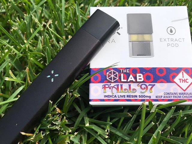 CitySessionsDEN's tweet photo. In town for @phish Dicks this weekend? #Highlyrecommend stopping by @theherbalcureco or @theclinic_colorado to pickup up a @paxvapor #fall97 branded #pax pod. #theknower #letsgetweird 📷: @citysessionsdenver https://t.co/fcHV23RBW0