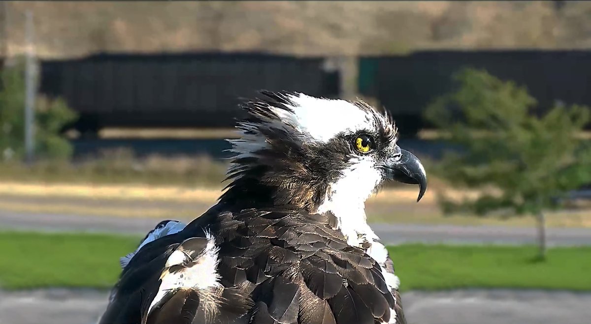 James Dunn tweet media