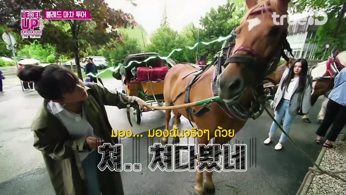 BY_9SNSD's tweet image. ความเข้าหาน้องม้าช่างแตกต่างกัน สงสารพี่กิ5555น้องม้ามองแรง #RedVelvet #JoyceTeaching  #joygi