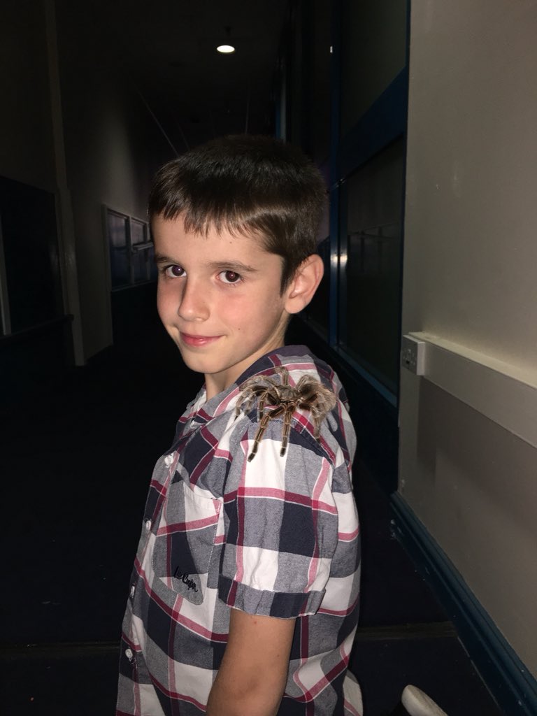 wells_beki's tweet photo. @craigandsteve @craigcrowton @butlins Cannot thank you enough for getting me over my phobia! Love them now and seriously cannot wait to have my own! So proud to see my Boy hold Incey! We both wanted to take her home! #proudmumma #lovetarantulas #topguy xxx https://t.co/tP3YNE95Bd