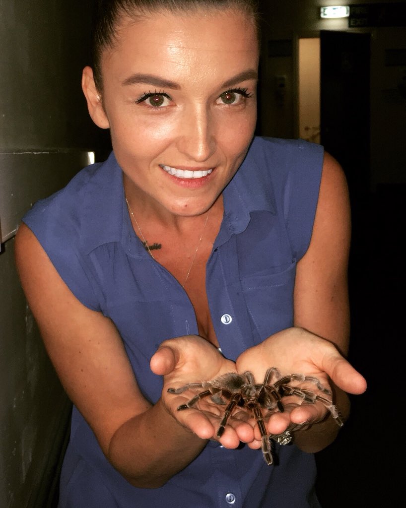 wells_beki's tweet photo. @craigandsteve @craigcrowton @butlins Cannot thank you enough for getting me over my phobia! Love them now and seriously cannot wait to have my own! So proud to see my Boy hold Incey! We both wanted to take her home! #proudmumma #lovetarantulas #topguy xxx https://t.co/tP3YNE95Bd