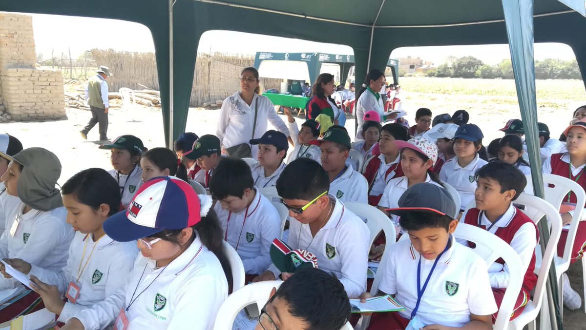 FAOPERU's tweet photo. Hoy se realizó el "Día de Campo de Algodón" del Proyecto #MásAlgodón, con estudiantes de la IEP Dan Vicente de #Ica.
#CoopSurSur #MásAlgodón https://t.co/k7k8kuGbZW