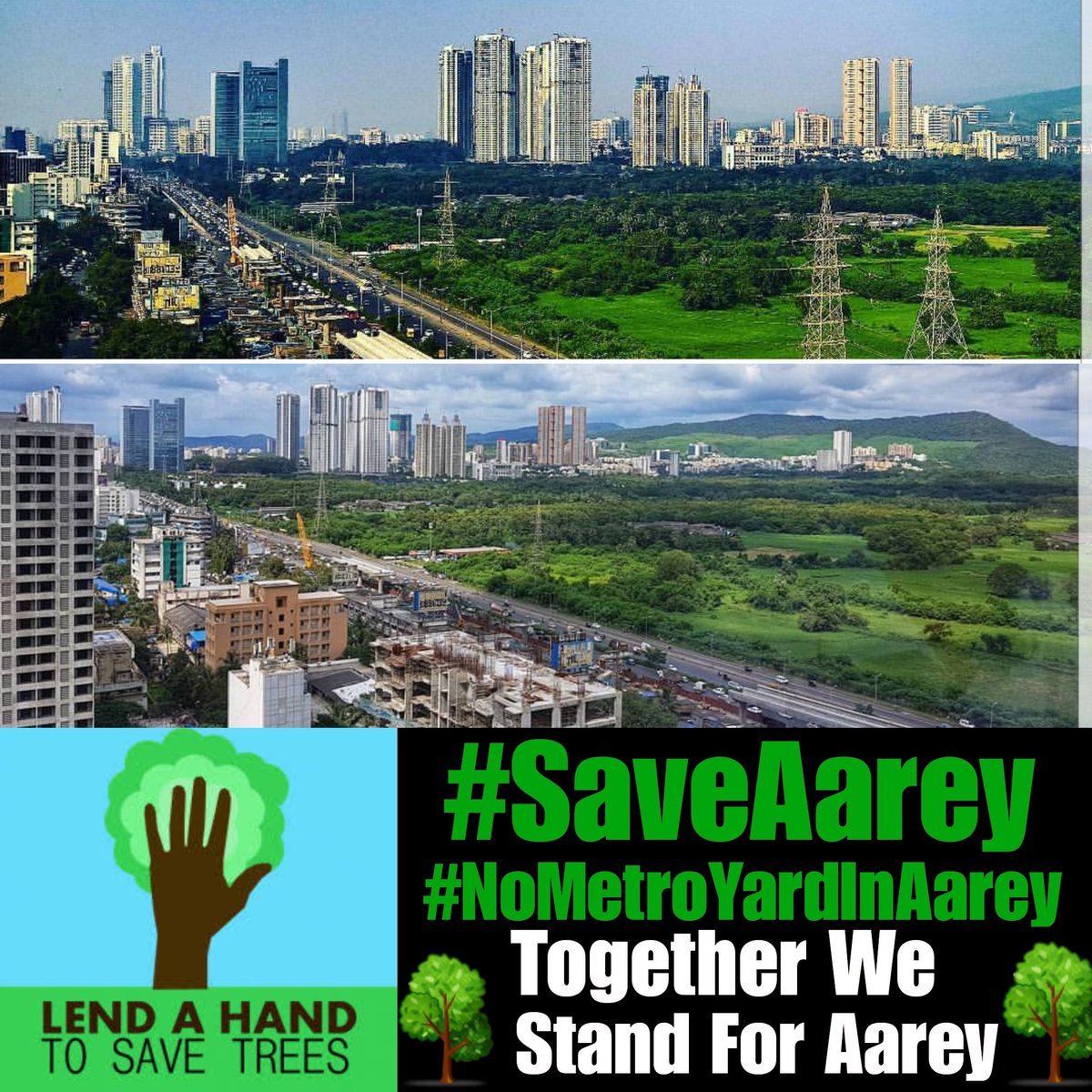 ketan83's tweet photo. #AareyForest is an invaluable green lung of Mumbai. It hosts incredible biodiversity.
Development is not just the creation of concrete infrastructure. It also involves protecting the green infrastructure on which we all depend.Aarey’s existence is crucial to our concrete city https://t.co/dEsBKlY7lH