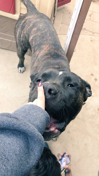 Watch genbxnz♡'s leaked NSFW photo on TwXstars