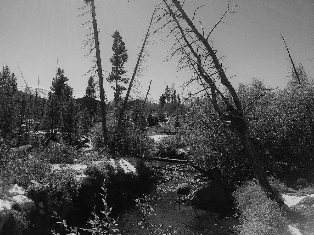 ws_beck's tweet photo. #RiverLabLife Day 4 of 7! B&W photos, no explanation https://t.co/fXi5ZqeHD7