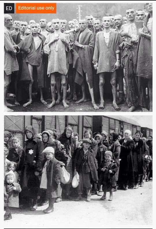 SumairaFatima10's tweet photo. #HitlersHoloCaustWasCorrect https://t.co/cFLb3Wjxby