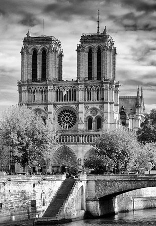 ParisAMDParis tweet picture