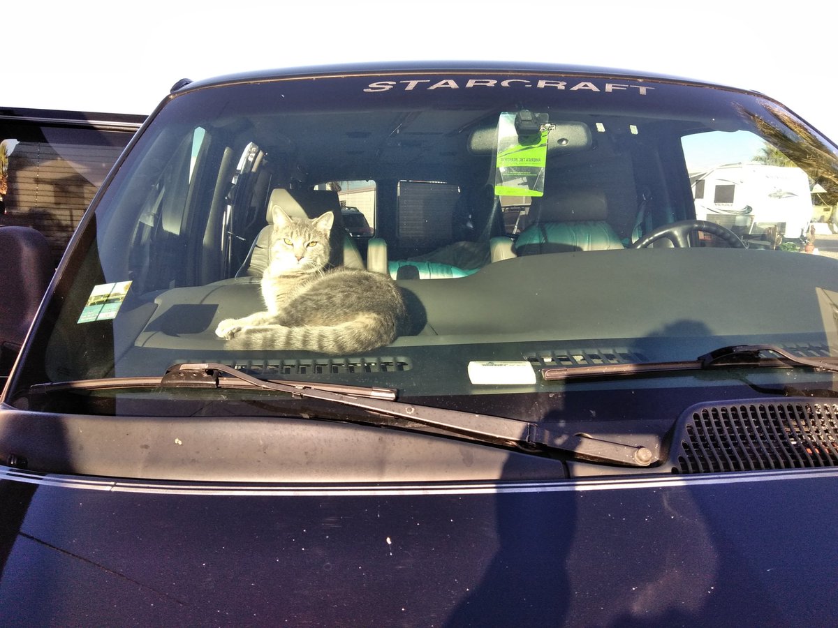 dablizard's tweet photo. Living in a #van it's my happy place. https://t.co/Z8xtoB3O0R