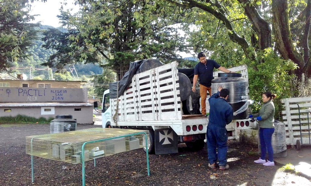 YeseniaMtzPlata's tweet photo. Con los paquetes de autoconsumo de #ECENM que entregamos el día de hoy a mujeres de Jardines de San Juan Ajusco #Tlalpan #CDMX tendrán seguridad alimentaria con la producción de huevo para plato, carne de conejo y hortalizas. @BaltazarxTam @SAGARPA_mx @MujeresCampo https://t.co/79nljJQ8Cb