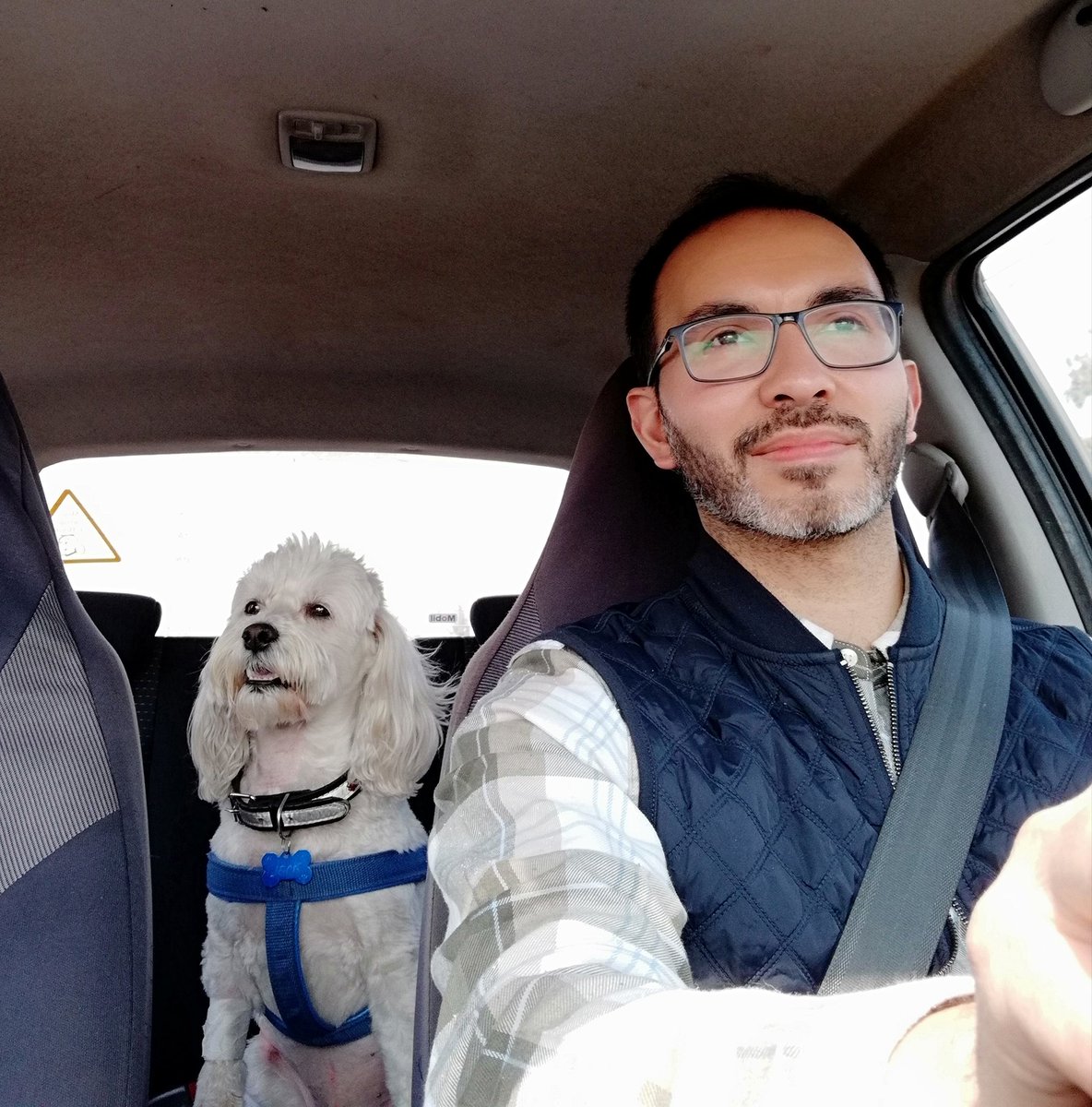 Patricio Flores tweet media