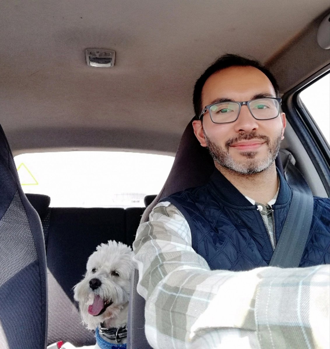 Patricio Flores tweet media