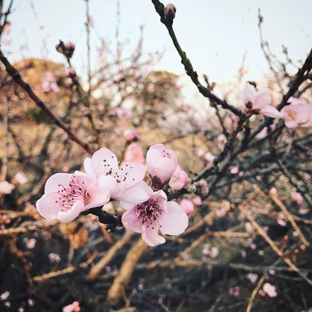 SavanahBeechey's tweet photo. “Reality depresses me. I need to find fantasy worlds and escape into them.” - Noel Fielding https://t.co/2m6AR7iYW8 https://t.co/bCXlgmH9yI