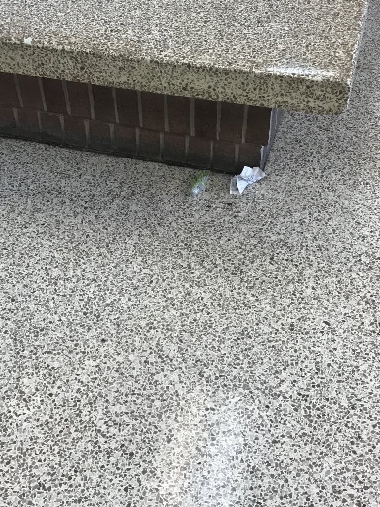 LHSReadingCoach's tweet photo. Find a mess, clean it up! @LHSMcCoy @LHSKleinTime #doyourpart https://t.co/H9uwO2IjFs