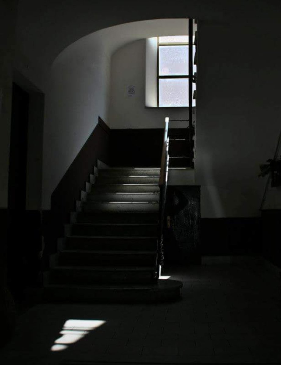 Davide Piccinini tweet media