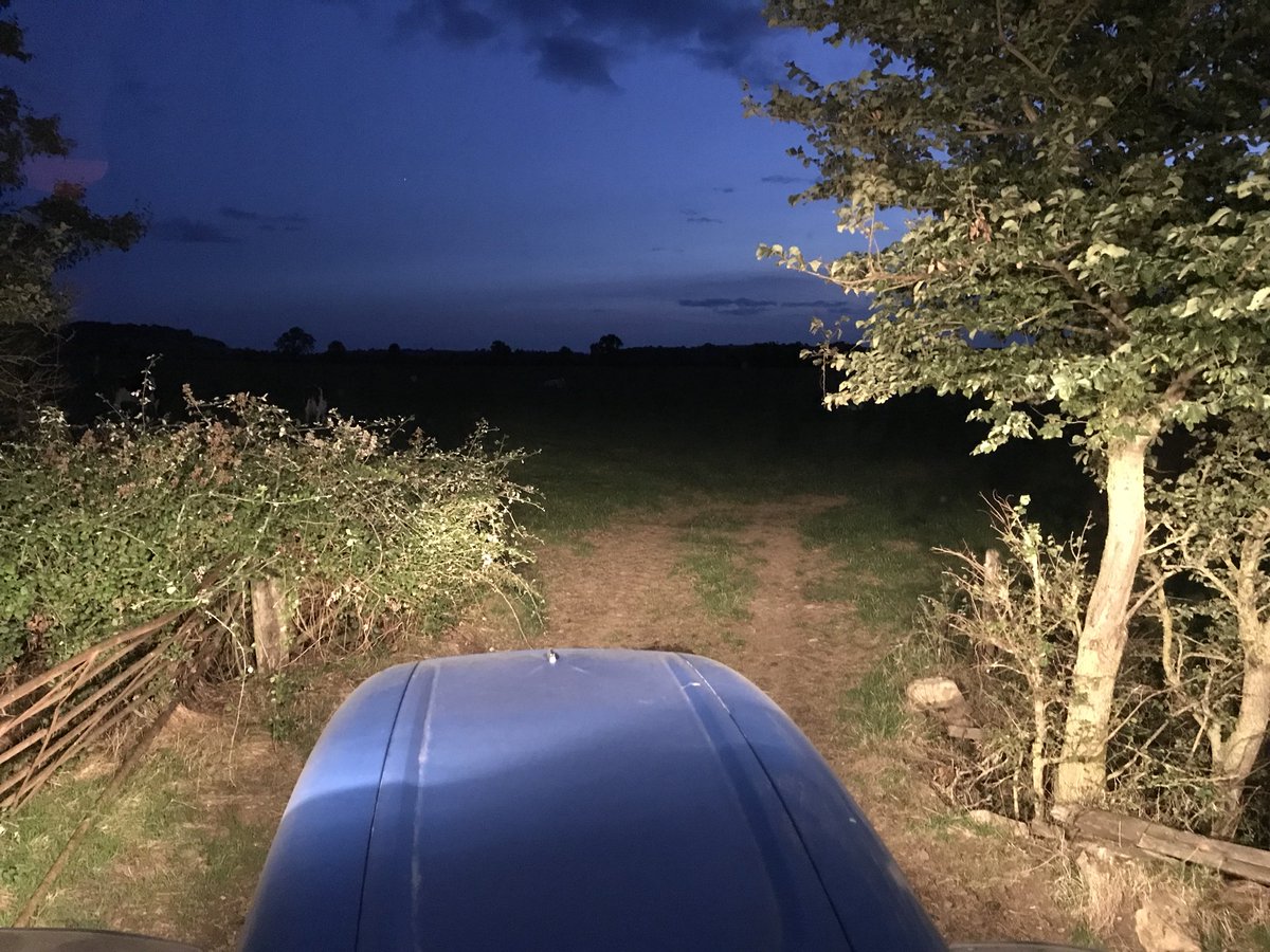 9amben's tweet photo. Just me, the cows and a billion insects....#donotopenthedoor https://t.co/KWOCVJAGrI