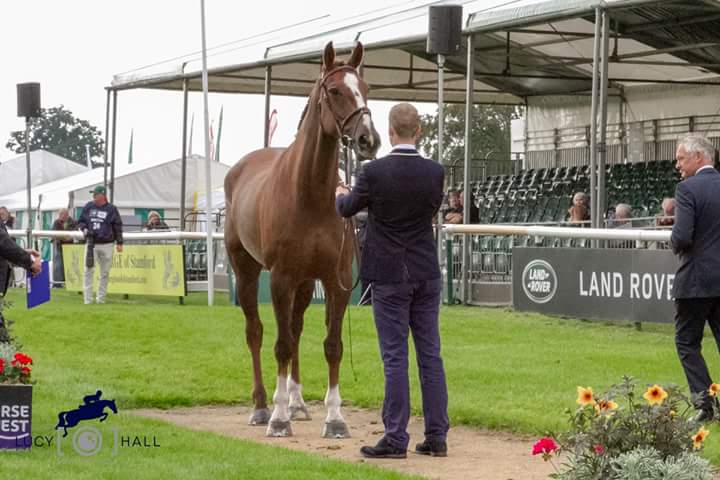 Tom Rowland tweet media