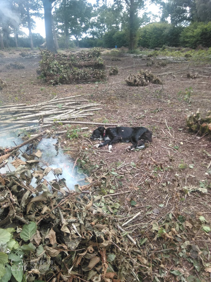 David Blogg tweet media