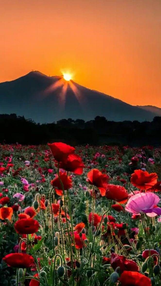 PicsSad's tweet image. 