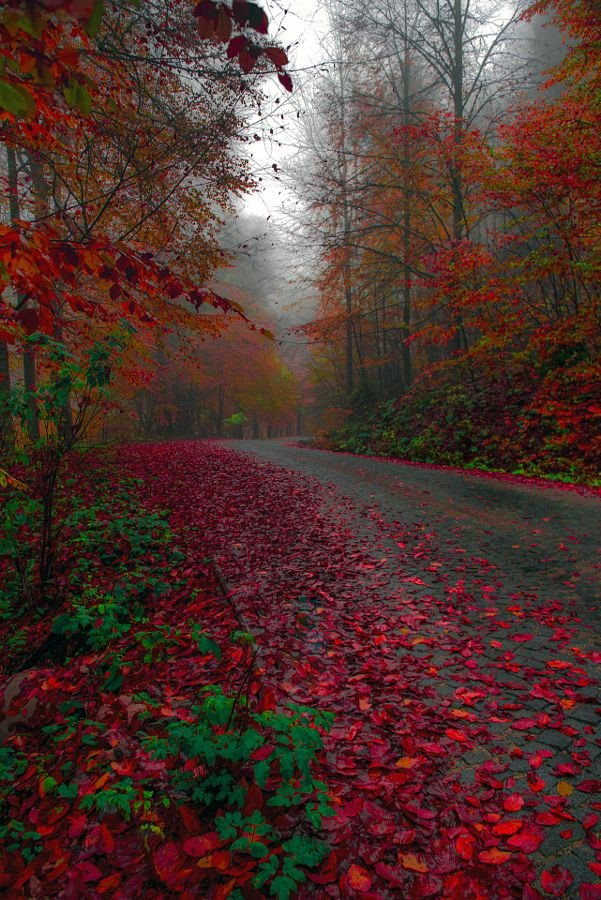 PicsSad's tweet image. 