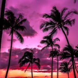 PicsSad's tweet image. 