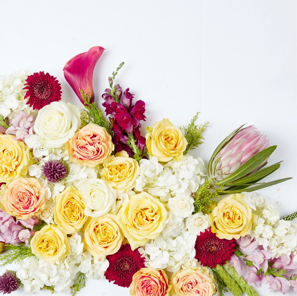 Happy Wednesday 🌼🧚🏼‍♂️🌸