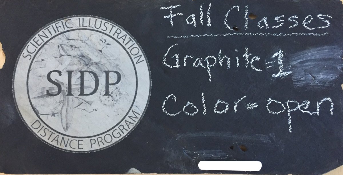 GretchenHalpert's tweet image. Public libraries have changed. Here’s an old piece of slate, etched with my logo, done at the library’s Maker Space. What’s in your Maker Space?#ccld #scientificillustrationdistanceprogram #watercolor #coloredpencil #naturedrawing