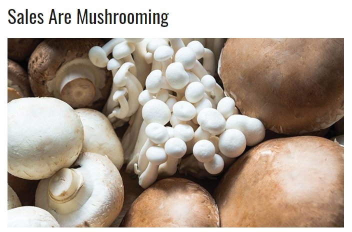 Interest in specialty organic mushrooms is on the rise! Can't say we're super surprised 😁Read what our Sales &amp; Marketing Director, Justin Reyes, has to say here! producebusiness.com/sales-are-mush… #mycopia #specialtymushrooms #organicmushrooms #mushroomsociety #superfood #producebusiness
