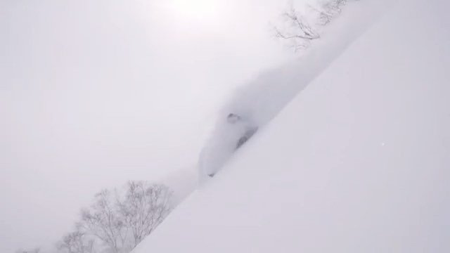 thepowguide's tweet photo. Still haven't book your trip? π―π΅ We have a 15% discount for you! DM us for more info π Here is Hokkaido through the eyes of @snowlocals π₯ β¨οΈπ£πΆ link in profile β¬οΈ #powguide https://t.co/U6rsvQ6N5N https://t.co/24M6weLb2B