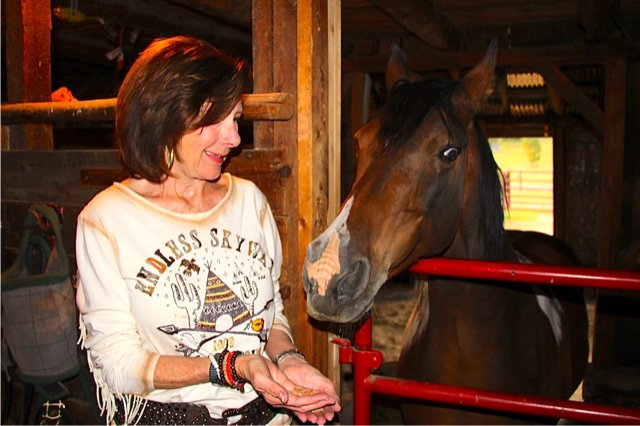 RotaryEvergreen's tweet photo. Dine Around! Gail Sharp hosted one of the Dine Around groups at
her Lucky Penny Ranch. We even played Jenga! You, too, could be part of Dine Around!!! https://t.co/EunJ2VHYVJ