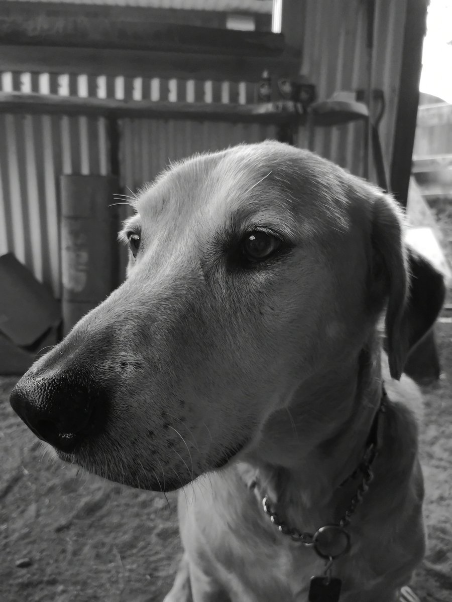 GettingCooked's tweet photo. Day 4 of 7 of #7BW black & white photos of my life. No humans, no explanations as challenged by @tanyaweiman I challenge @RaulM956 to do the same. https://t.co/r3aGUPWyyA
