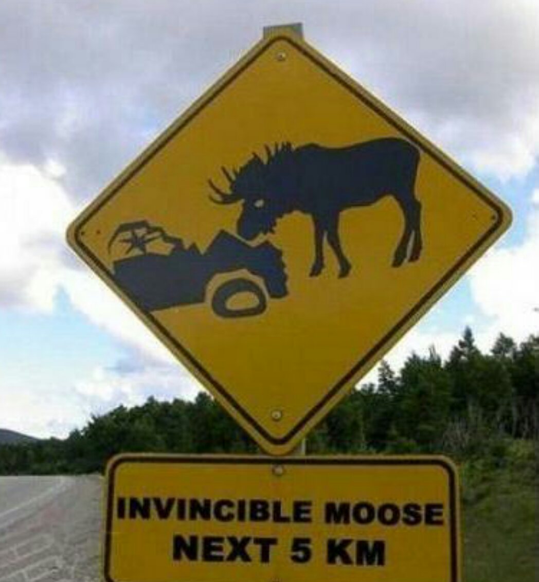 Darth_Pingu's tweet image. #IAlwaysKeepMyEyeOut for the invincible moose. #CanadianProblems