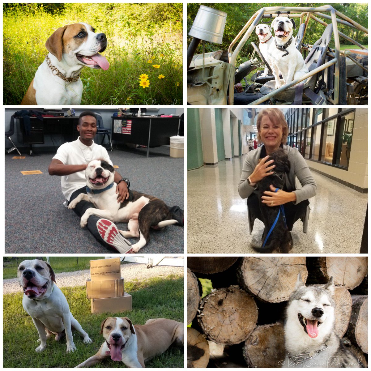 As we discussed our skill of the day w/our @TEP_KISD pawtners, we got our quote of the year! "When someone meets you w/ negativity, you could just SMILE &amp; defeat their negativity w/ #kindness". Working #dogs bring #smiles to #education! #whatsyoursuperpower #KISDTeamSpEdP2P