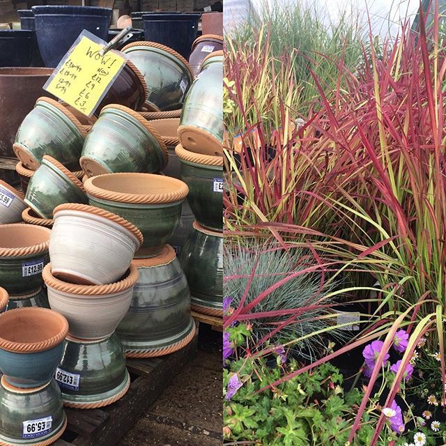 Pots & plants for autumn colour. Planet Pot 🌎🌍🌏 Sale now on. #Aldeburgh,#glasedpots,# terracottapots,#troughs,#gardenornaments,#urns, #stoneware,#gardenplaques,#potsale,#endofseasonsale.#fibreclaypots.#greenman.#thesuffolkcoast. ift.tt/2PMWDLX