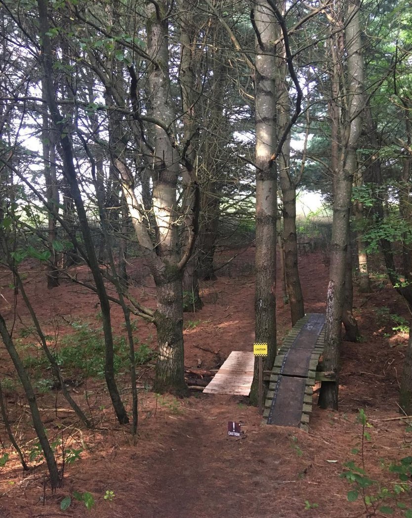 This Canadian single track is on point. Here are 20 #ragnarian photos from the Cottage Country Trail race last weekend. bit.ly/2PdTaoy 📷 wildandfound on IG