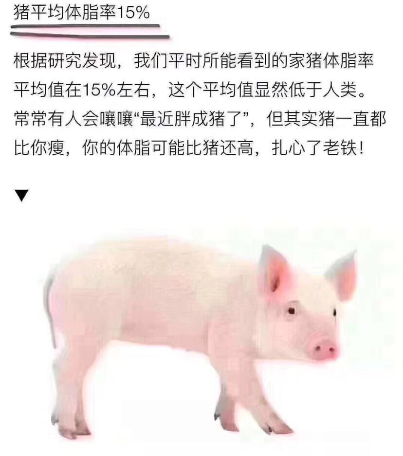 #有哪些偏见违背常识