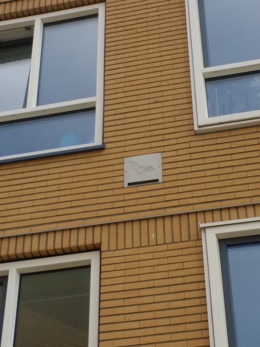 Margo Valdes tweet media