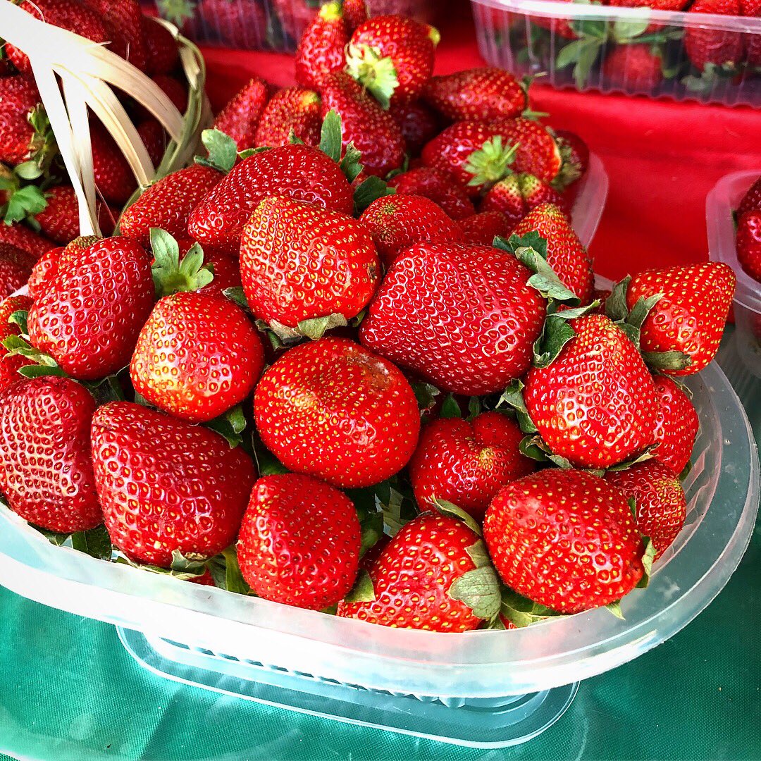 PetaRuger's tweet photo. ¡Fuimos por la Bicisenda hasta encontrar Frutillas con @JeroBuman y @srparrillapy! Musicalizados por @mauriro #EnElHornoConPeta #Bicisenda #Paraguay #Frutillas #HechoEnParaguay #TurismoInterno #Comimos #NosDivertimos #Bici
Vean el vídeo en https://t.co/TbUXG6vR6T https://t.co/xDd6rBe86n