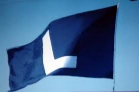 Donwill® on Twitter: "I just found out that the Chicago Cubs fly an L flag  when they lose and I'm both saddened and hurt that this has not become a  general meme.