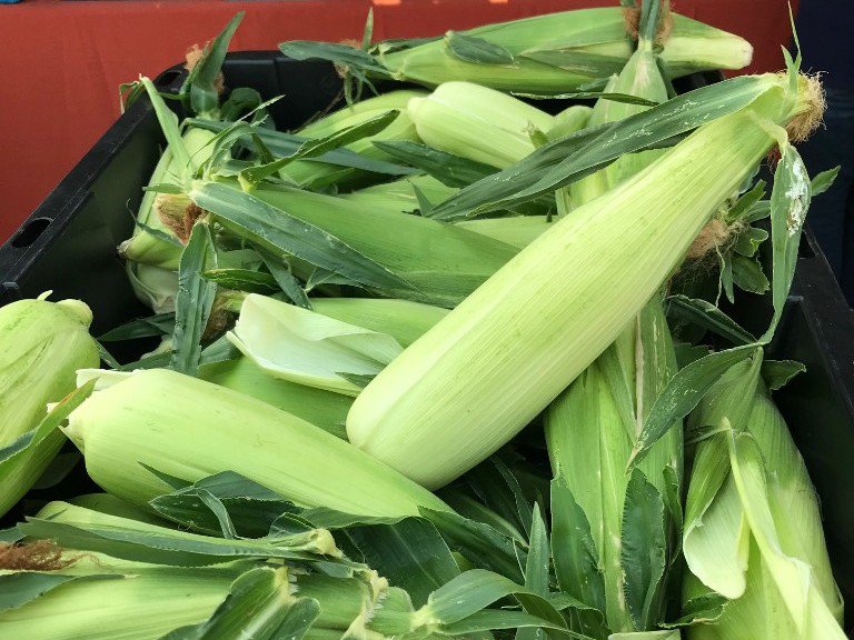 MarketCully's tweet photo. Come to the Market: Farm Fresh 💐🍑🍓🍆🍅🌽, Beautiful Weather, Live Music! Thurs. Aug 30, 4-8pm. It's our last August market! Interested in Volunteering? - https://t.co/UOI64EfOd9 https://t.co/qifQw0shLv
