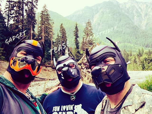 PupGadget's tweet photo. Visiting the Beach at Camp K9! πΆβΊοΈπ§‘π€π#me #humanpuppy #humanpup #pupplay #puppyplay #pupgadget #alphagadget #alphapup #alphapupgadget #mrsleather #pupfarrstrider #farrstrider #puptease #trianglerecreationcamp #seapah https://t.co/PNF4M3NrOt https://t.co/8jlBdXitko
