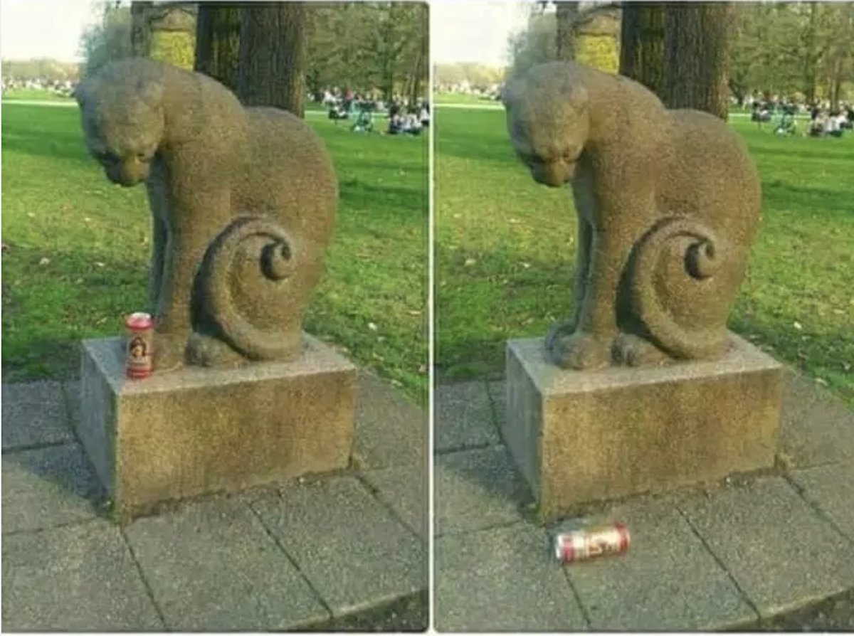TuRevisorFiscal's tweet photo. Típico gato. https://t.co/V47LhJJmUi