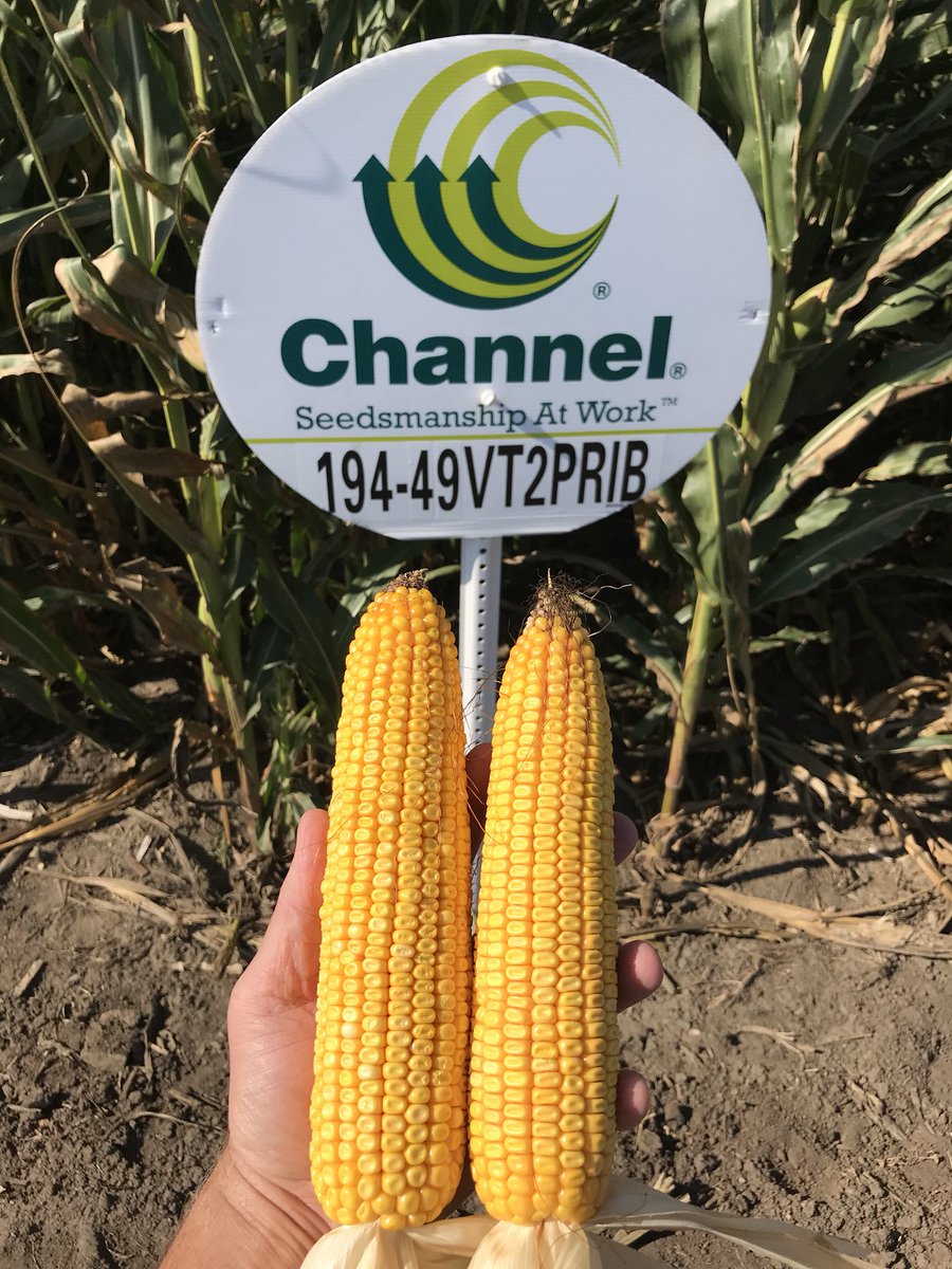 CromptonChannel's tweet photo. Beautiful evening with Infinity Ag. New products look 💪🌞. #Grow18. https://t.co/kzvL3DZNmm