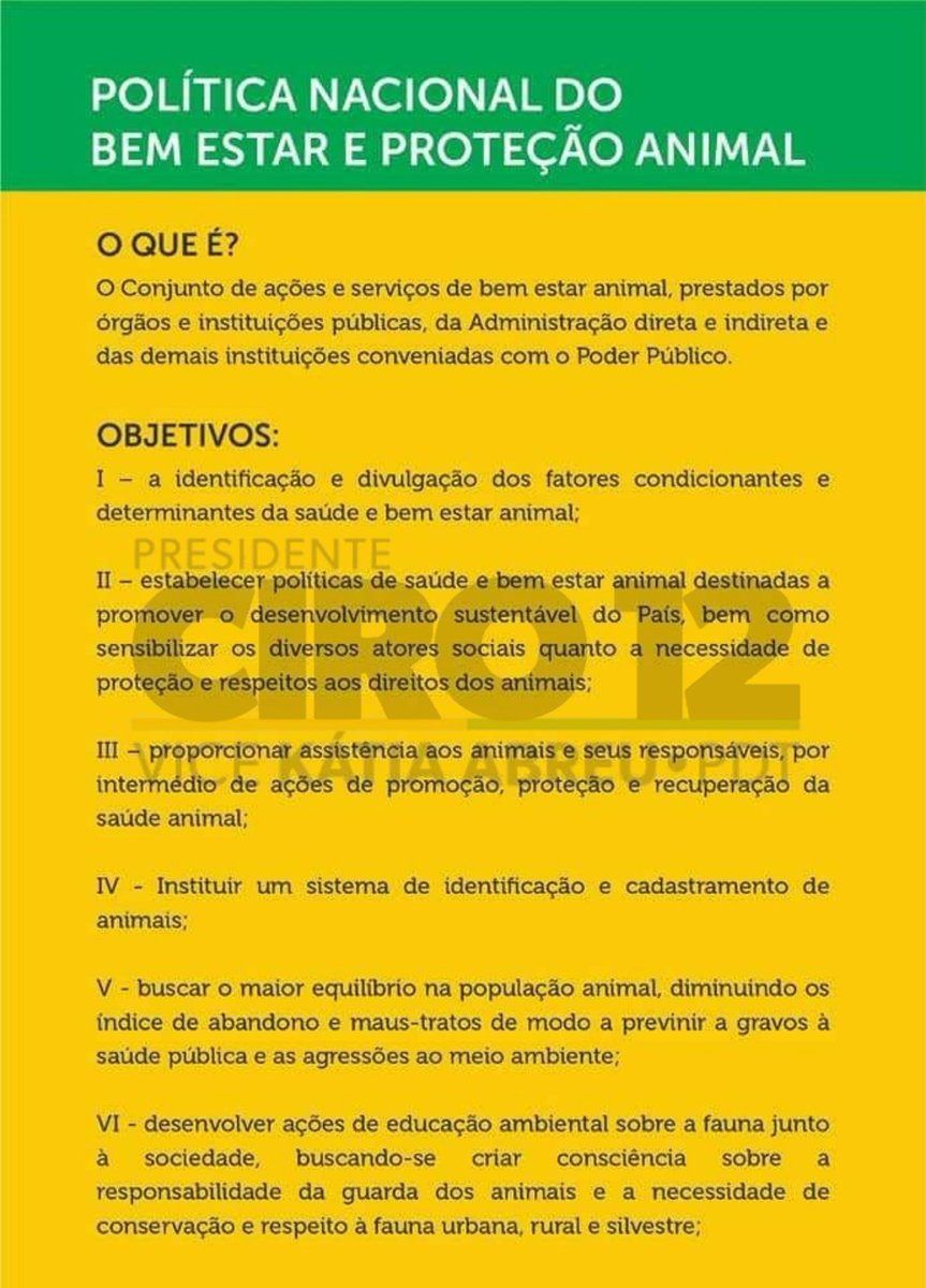 Mudarcomciro's tweet photo. Você sabia que o Ciro Gomes é o único candidato que tem em seu plano de governo um projeto voltado para o bem estar e proteção animal? 

#CIRO12 #FechoComCiro https://t.co/cXAPDtbH0t