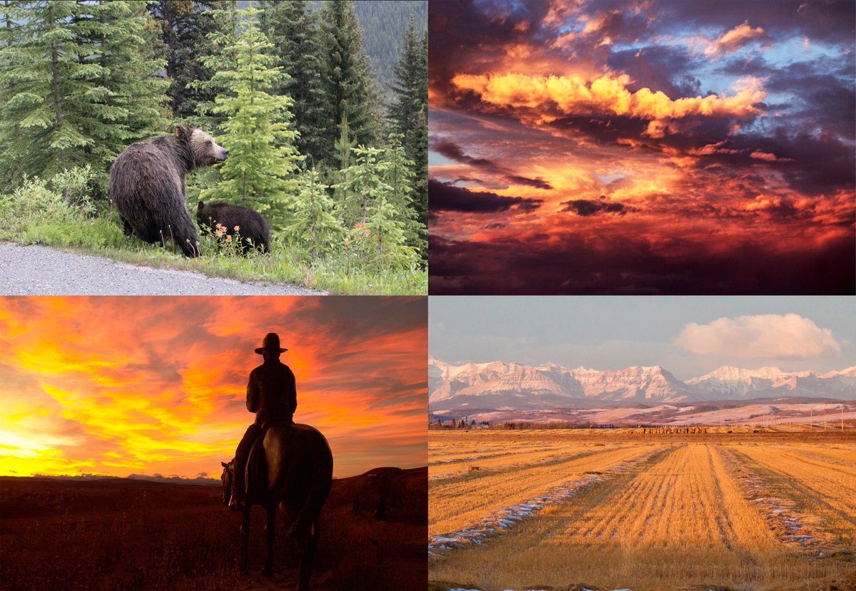 This is #Alberta in pictures and why people travel 1,000's of Km to see what we have on our doorstep - some of my pictures are on display at the ATB bank in #Cochrane until the end of September.  While you are there pick up some <a href="/CochraneDollar/">Cochrane Dollar</a>'s - Cochrane's own local currency