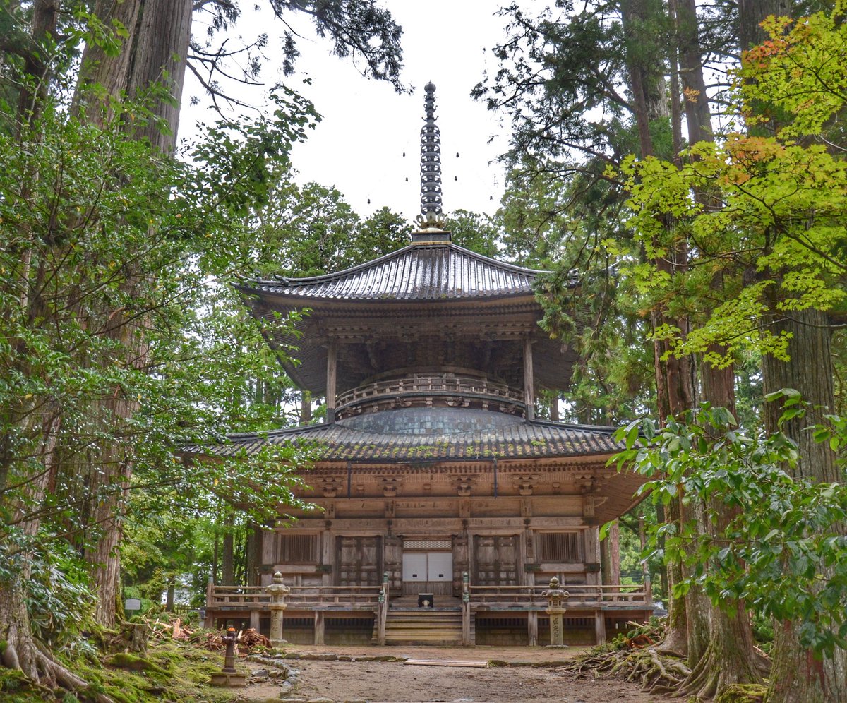 demikublog's tweet photo. Hoy nos encontramos en #Koyasan, la montaña sagrada. Nos encontramos alojados en un templo y hasta hemos hecho recorrido nocturno por el mayor cementerio de #Japón. Os dejamos la crónica del #DemikuJapon 🇯🇵 de hoy en https://t.co/hc3rgVufW2 https://t.co/z4dUzzCUFk