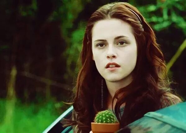 Happy Birthday Bella Swan 