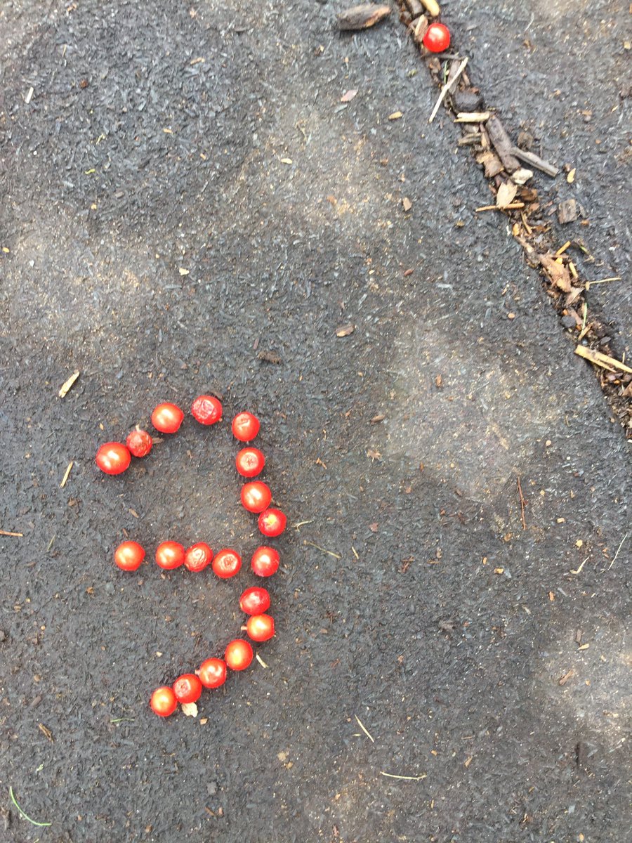 Grandtully Primary On Twitter P1 4 Outdoor Maths Creating - 