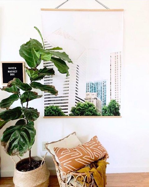 Engineer Print, fiddle-leaf plant, letter board, AND a basket of throw pillows? Maven Market Box must have raided our Pinterest board 💞🙌 → pinterest.com/parabopress/ #ThursdayThoughts #pinterest #homedecor